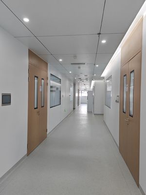 kopen Houten graan staal Dubbele schoonkamer schommeldeur Ziekenhuis Metalen deuren met glazen visie online manufacture